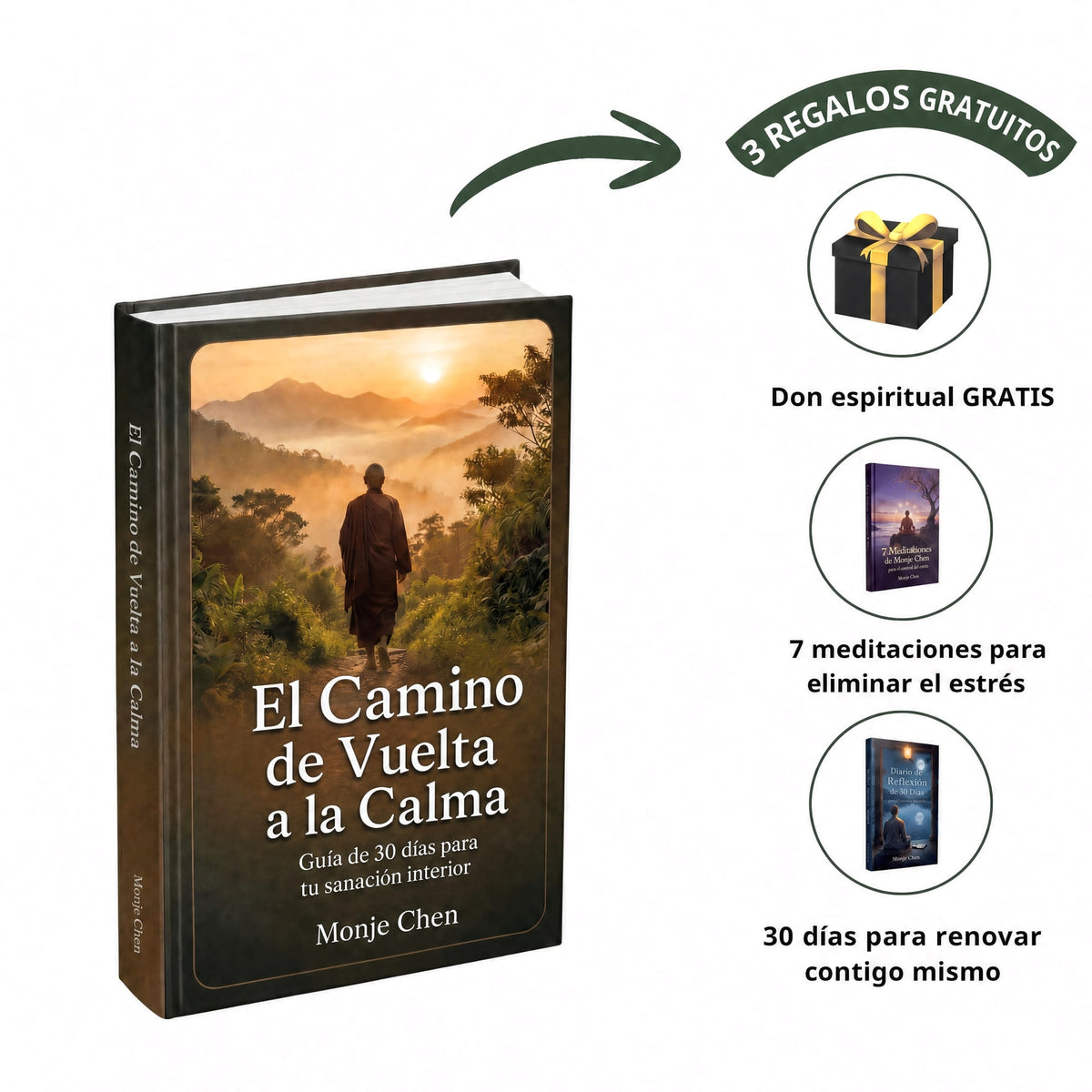 El Camino de Vuelta a la Calma